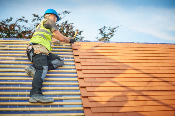 Best Roof Maintenance  in Hugo, MN